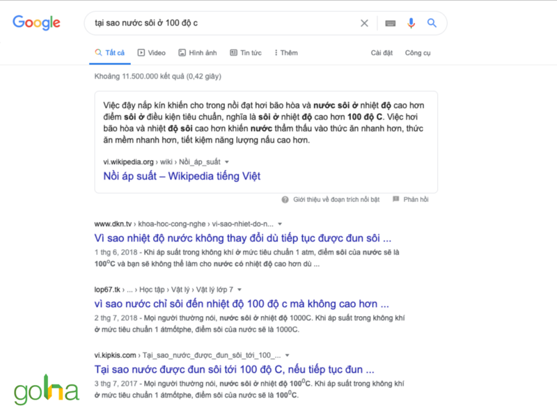 Featured Snippet dạng văn bản được rất nhiều người dùng yêu thích