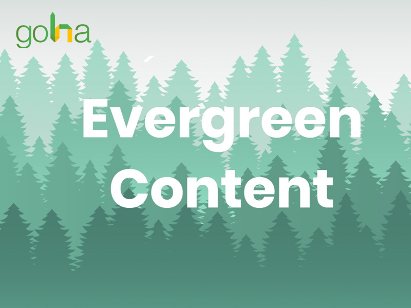 evergreen-content-giup-tich-luy-traffic-lau-dai