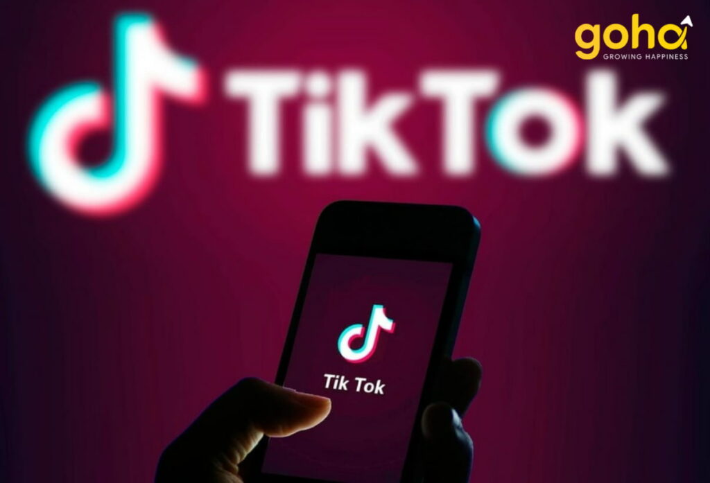 tik-tok-ads-giup-tiep-can-nhanh-chong-den-khach-hang-muc-tieu